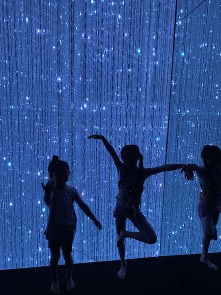 東京一日目～TeamLab, 水族館