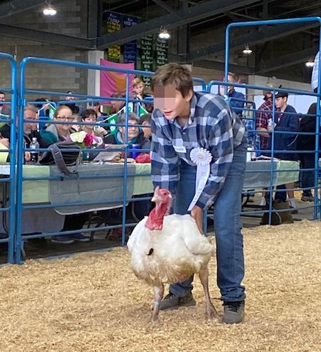 State Fair～シャーロットはどこ？