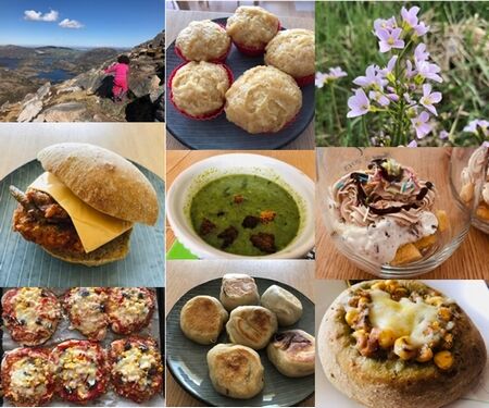 巣ごもり7週目の日常生活