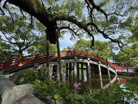 太宰府天満宮～国立博物館～チームラボ