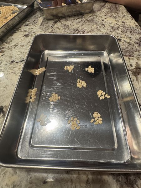 休校日の過ごし方～米粒の数を推定する