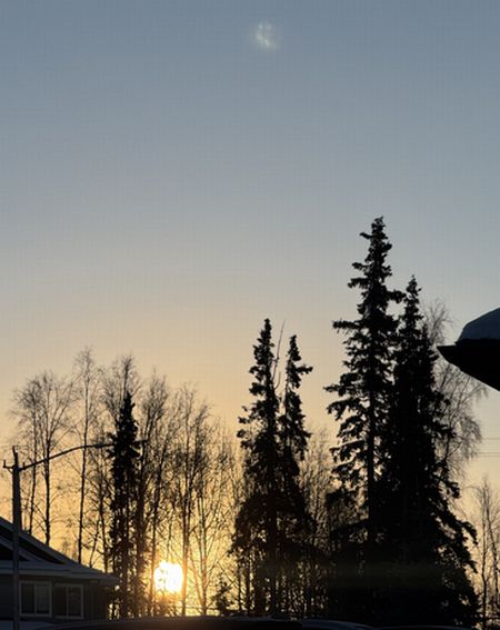 冬休みの活動～初日の出