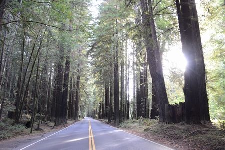 サンフランシスコの旅6～Napa