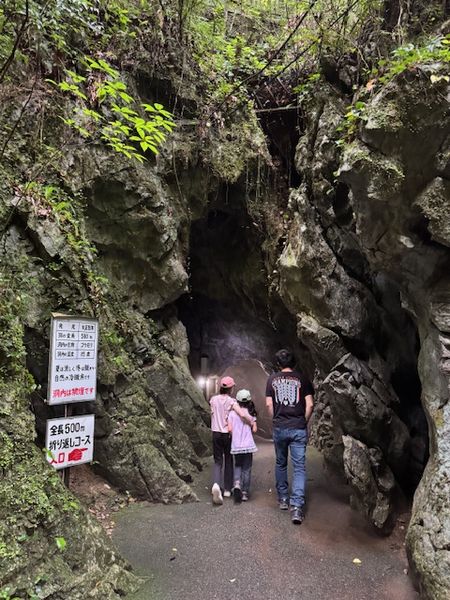 風連鍾乳洞～臼杵石仏～可児醤油