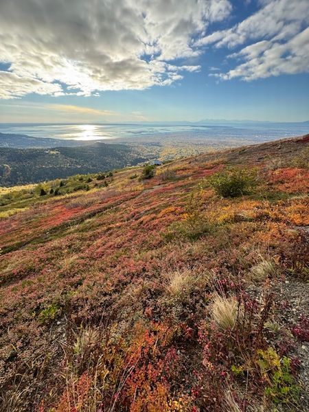 紅葉散歩～flattop