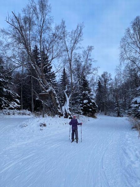 【アラスカ生活】クロカンスキーデビュー
