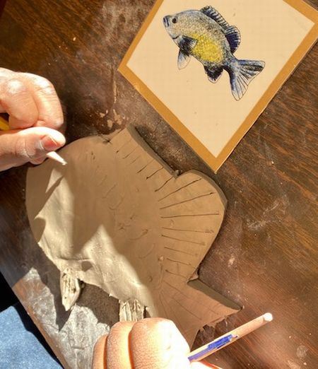 ボランティア24週目の感想