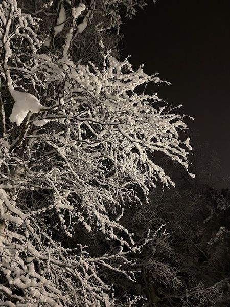 2024年に最幸を更新したこと♡