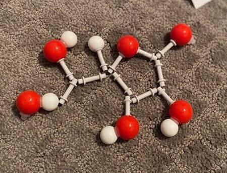 マンガとリアルの架け橋
