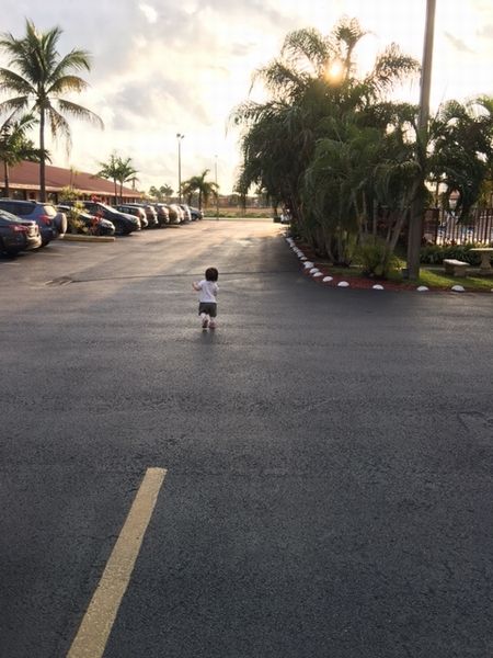 フロリダ旅行4～Biscayne National Park