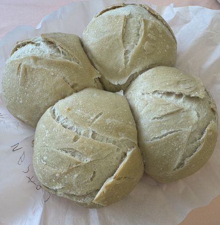 代理の先生の活動1