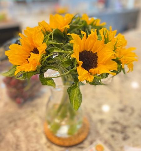 Somebody feed Phil～世界の食文化を楽しむ