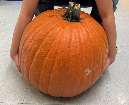 多様性のなかでみるEQ