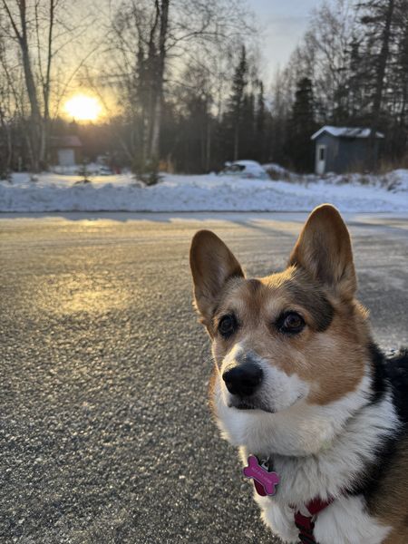 ６４歳の誕生日と天然酵母
