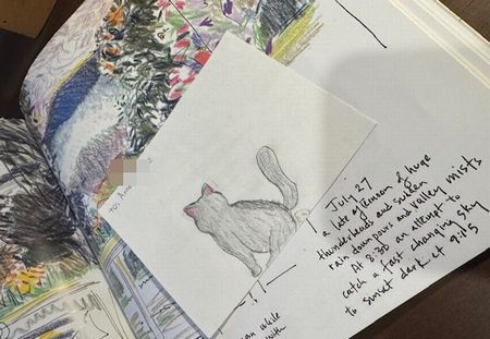 モンテ小学校高学年の活動～読書本ほか