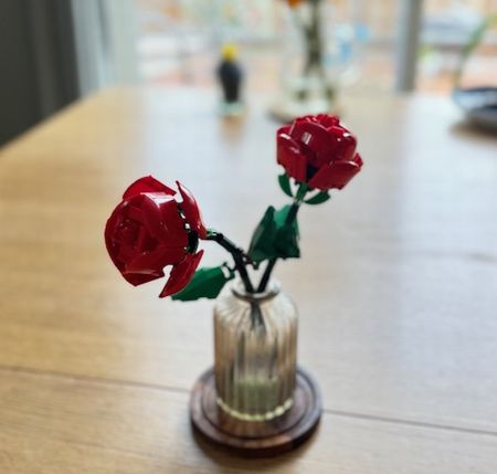 おうちモンテ-親子の活動