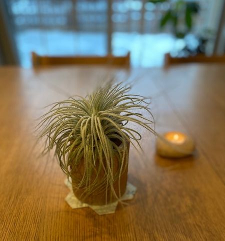 アイススケート教室～Keep it up!