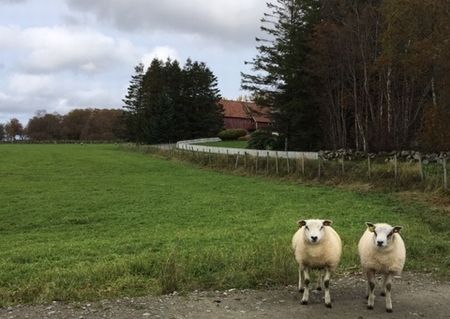 秋のトレッキング
