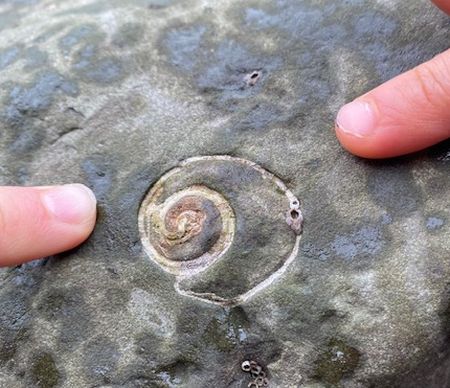 Kodiak島～化石海岸編