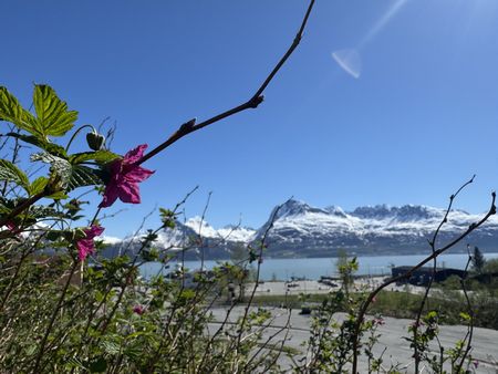 IMG_1257