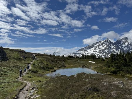 キャンプして26kmハイク②～Primrose Trail