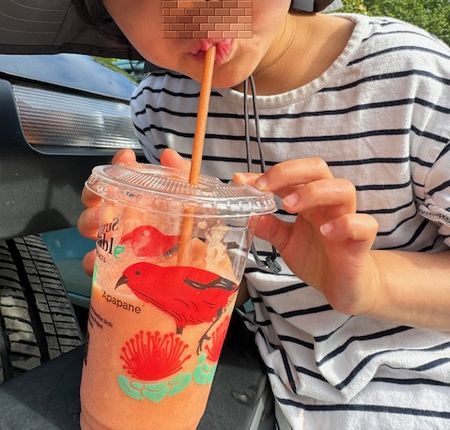 ハワイの旅⑮～Kaya's