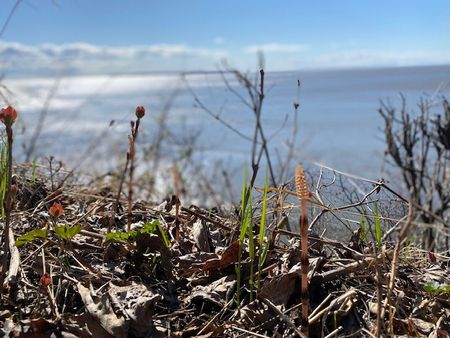 Kincaid～海辺のサイクリング