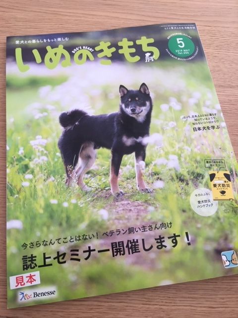 愛犬の紹介記事