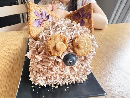 ねこちゃんケーキで誕生日祝い