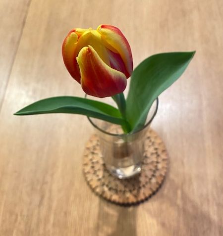 ボランティア19週目の感想