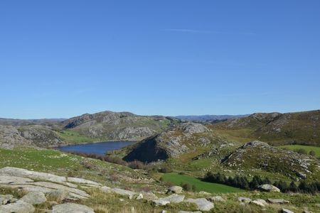 トレイル～顔の像