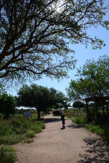 Fredericksburg～花園