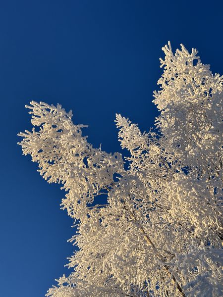 長女のボランティア