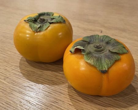 アイススケート教室