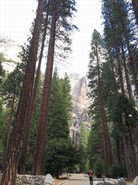 ヨセミテ国立公園2