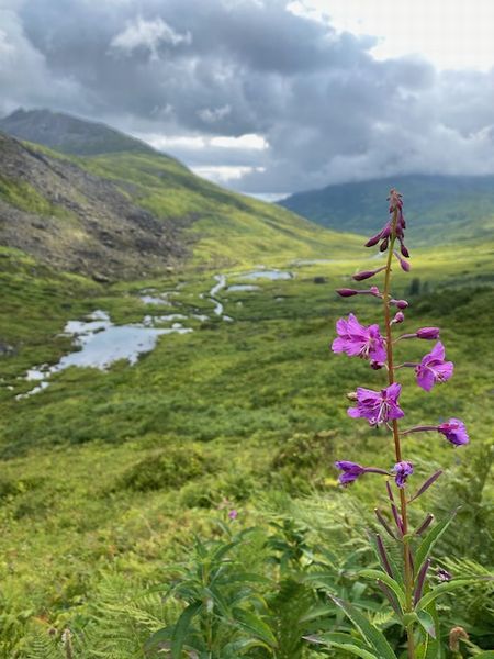 Reed Lake Trail~ごろごろ岩