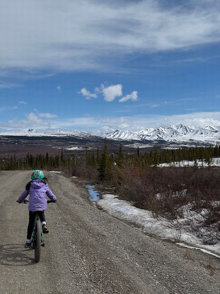 デナリ国立公園へ②～片道１５マイルのサイクリング