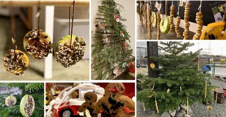 冬休みに入りました