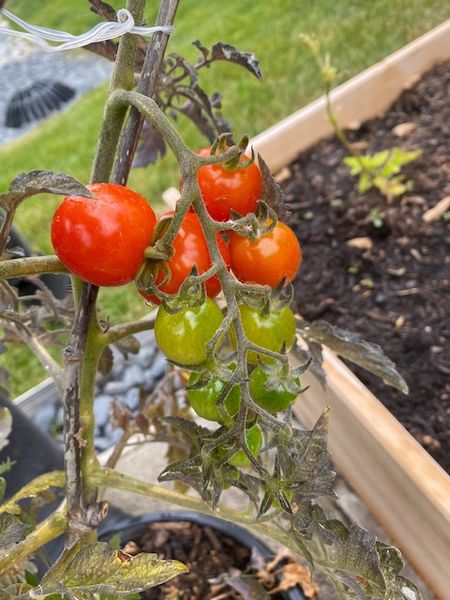 たい肥作りは柔軟に！？