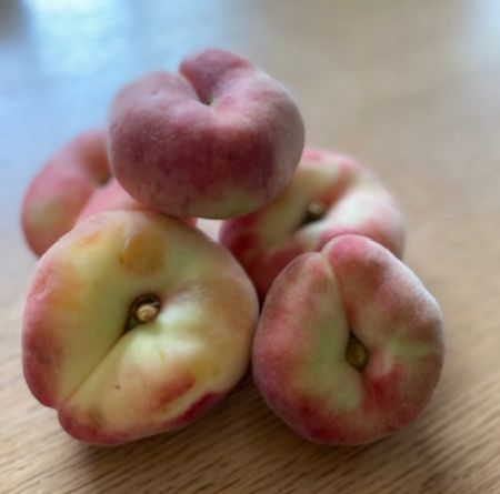 新学年始動～ボランティア1週目