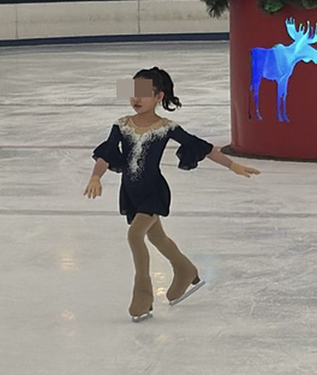 冬のアイスショー