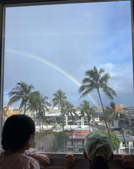 ホノルル経由で日本へ（完結しました）