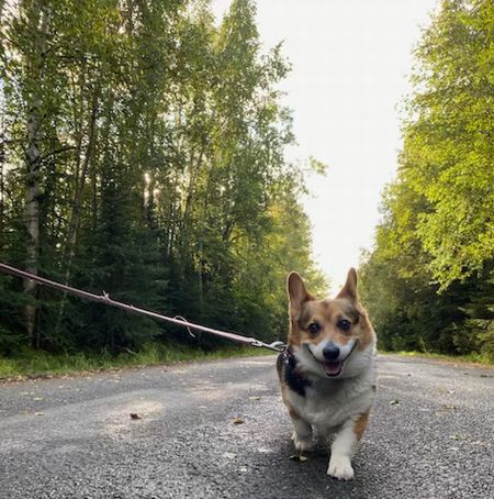 ランニングの秋～新じゃが