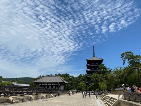 奈良1～興福寺、春日大社、東大寺