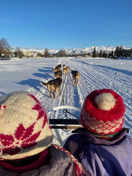 Fur Rondy~犬ぞり体験