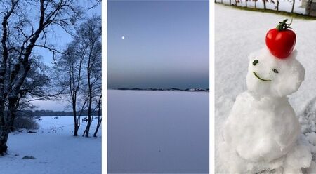 寒い冬と節分/続・腸活