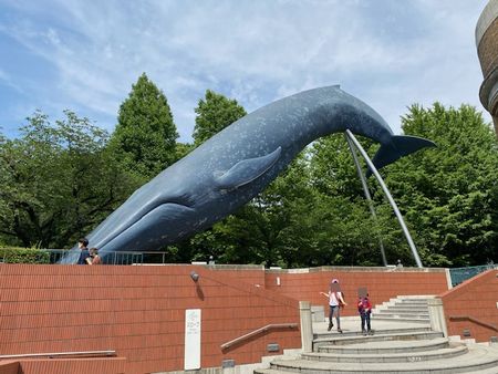 東京二日目～かはく、千疋屋