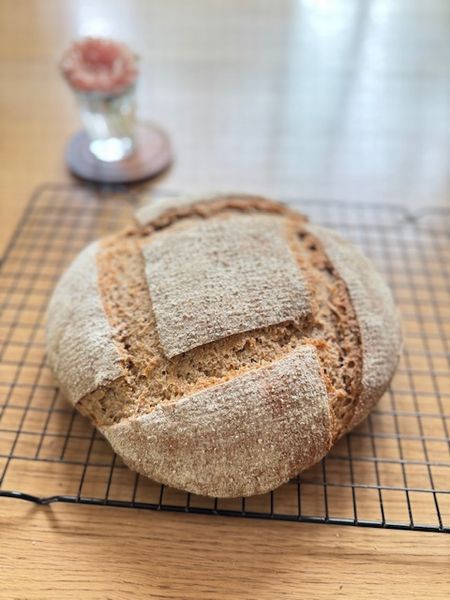 長時間低温発酵はアラスカ向き？～長女のクライミング