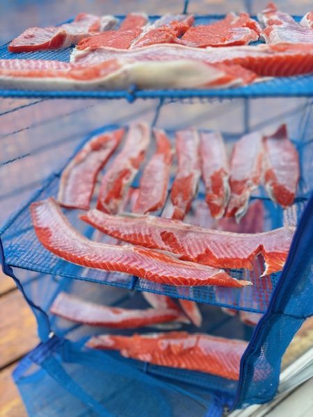 サーモン捕り2025！