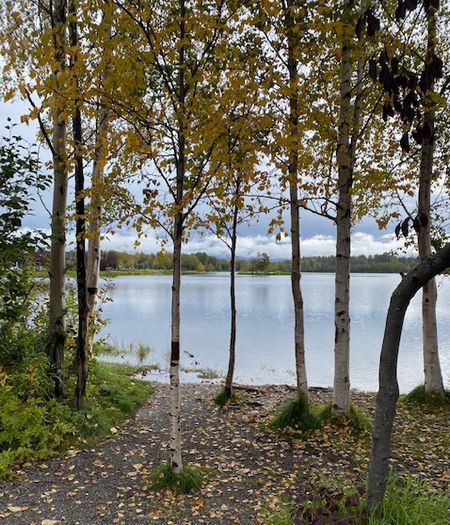 フィールドトリップ～陸・水・空気